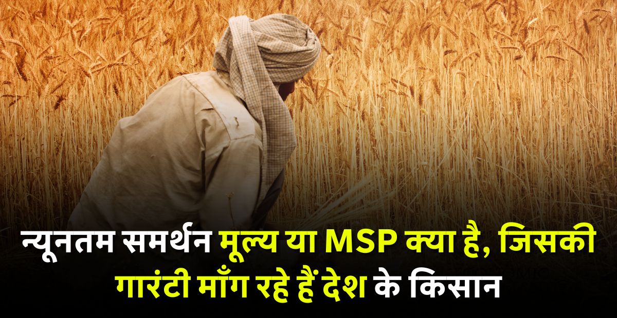 MSP Kya Hai